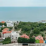 Sea Pearl Direct